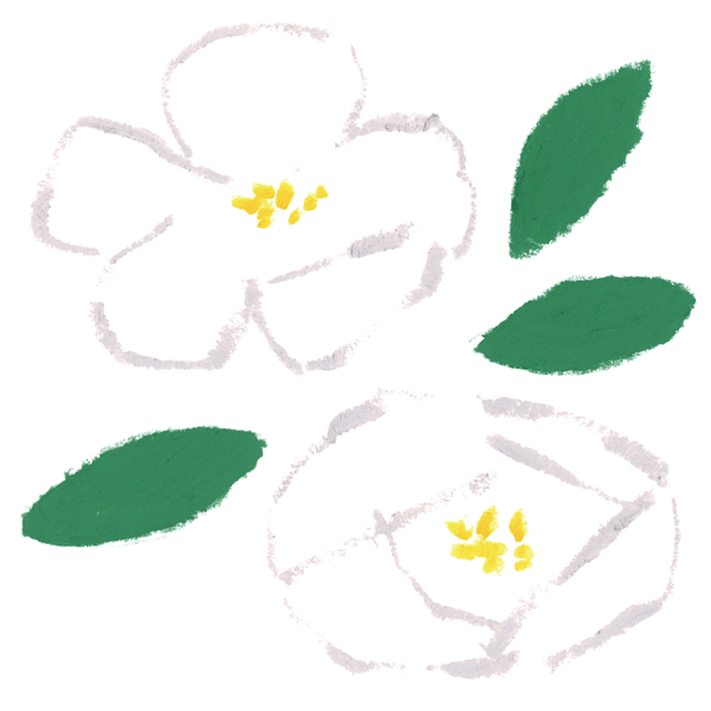 ＳＴさん（京都府 / 13歳）