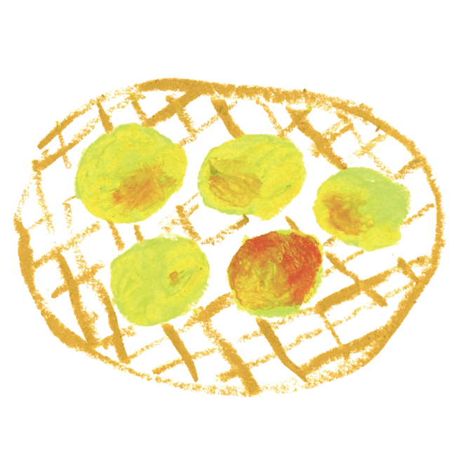 めんつゆさん(新潟県 / 17歳)