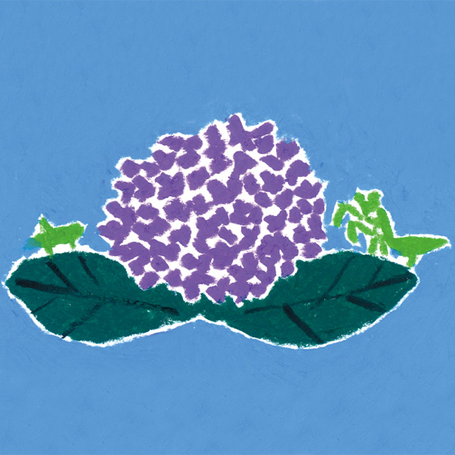 Liamさん（神奈川県 / 9歳）