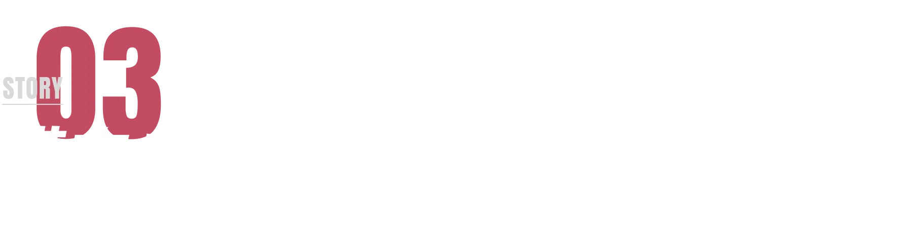 STORY 03 横向き新デザイン AK-1310E2シリーズ・AK-1310Eシリーズ