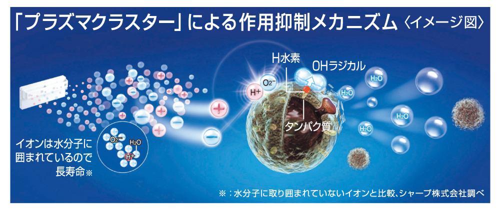 プラズマクラスターによる作用抑制メカニズム