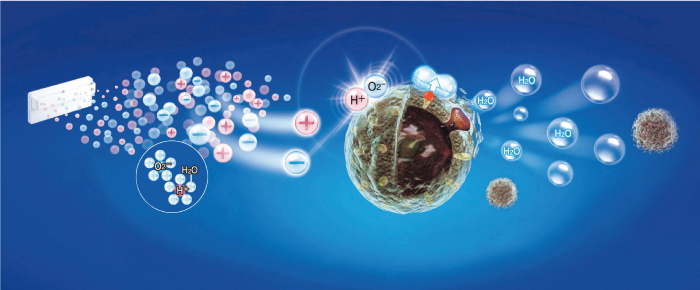 プラズマクラスターイオンのメカニズムイメージ