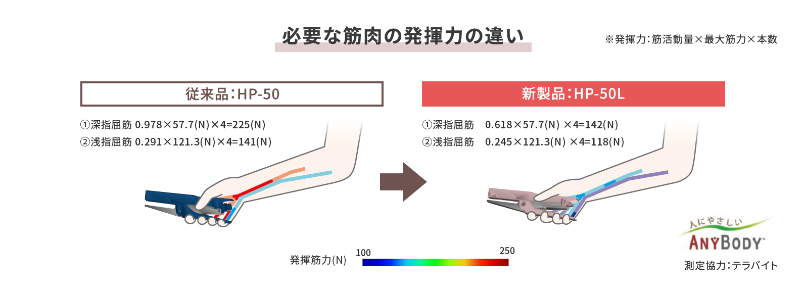 必要な筋肉に発揮力の違い