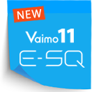 Vaimo11 E-SQ